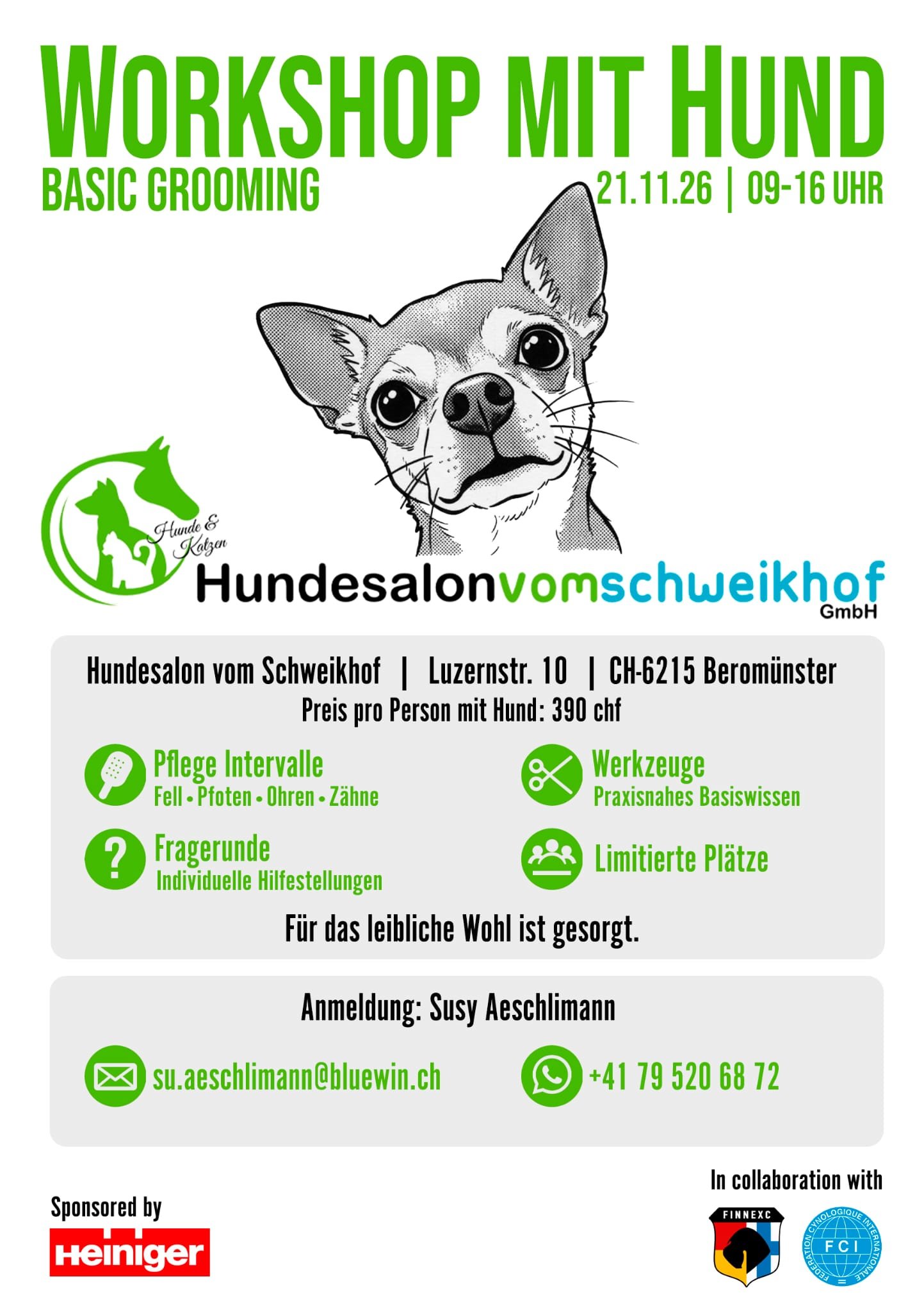 Workshop mit Hund